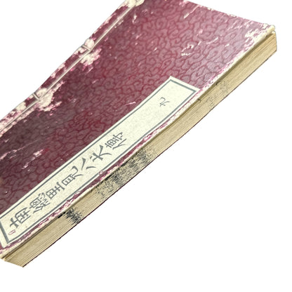 Nansō Satomi Hakkenden 南總里見八犬傳 – Meiji Woodblock-Printed Samurai Novel by Kyokutei Bakin – Volume 9-B47