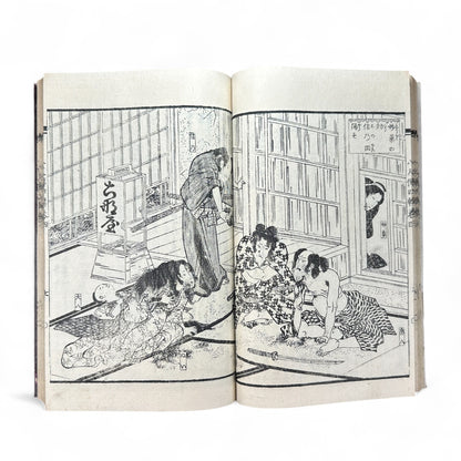 Nansō Satomi Hakkenden 南總里見八犬傳 Vol. 8 — Edo Period Japanese Woodblock Book by Kyokutei Bakin & Utagawa Yoshimune-B50