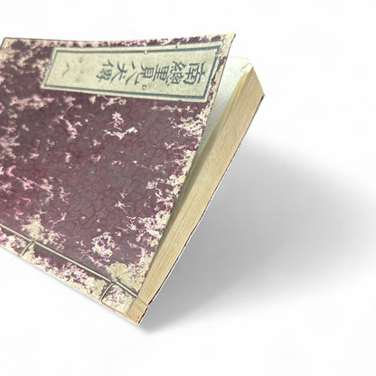 Nansō Satomi Hakkenden 南總里見八犬傳 Vol. 8 — Edo Period Japanese Woodblock Book by Kyokutei Bakin & Utagawa Yoshimune-B50