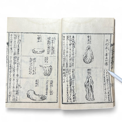 Shinsen Teisakuden 新撰庭作伝 — Edo Period Japanese Garden Design Illustrated Book-B51