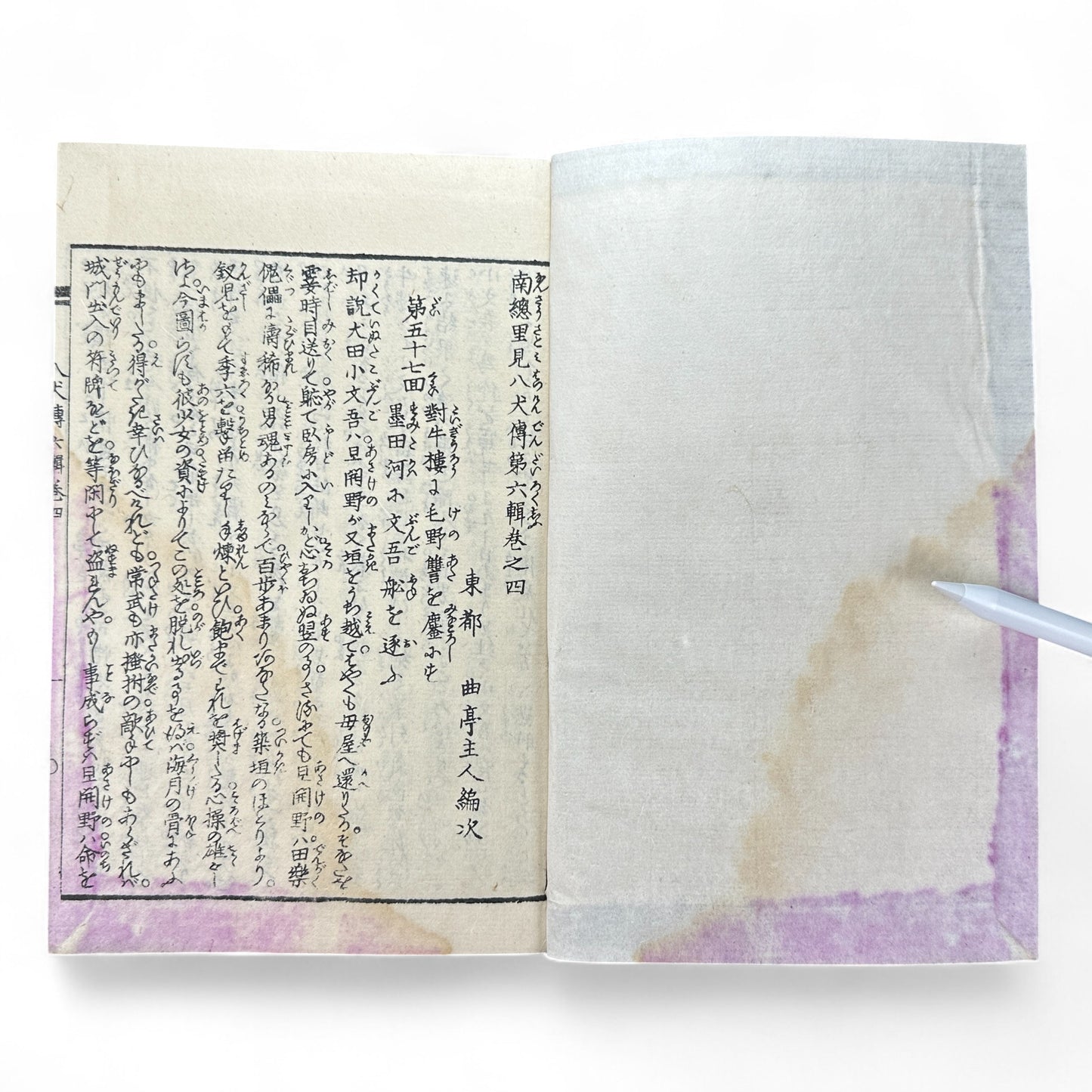 Nansō Satomi Hakkenden 南總里見八犬傳 Vol.12 — Meiji-Era Illustrated Japanese Novel (Kyokutei Bakin 曲亭馬琴)-B55