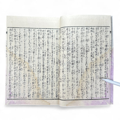Nansō Satomi Hakkenden 南總里見八犬傳 Vol.12 — Meiji-Era Illustrated Japanese Novel (Kyokutei Bakin 曲亭馬琴)-B55