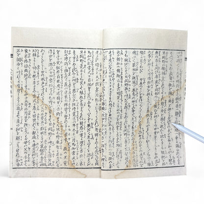 Nansō Satomi Hakkenden 南總里見八犬傳 Vol.12 — Meiji-Era Illustrated Japanese Novel (Kyokutei Bakin 曲亭馬琴)-B55