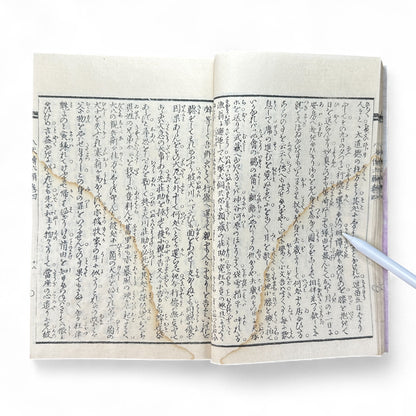 Nansō Satomi Hakkenden 南總里見八犬傳 Vol.12 — Meiji-Era Illustrated Japanese Novel (Kyokutei Bakin 曲亭馬琴)-B55