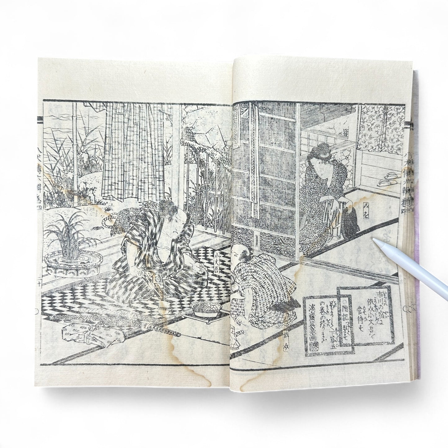 Nansō Satomi Hakkenden 南總里見八犬傳 Vol.12 — Meiji-Era Illustrated Japanese Novel (Kyokutei Bakin 曲亭馬琴)-B55