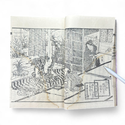 Nansō Satomi Hakkenden 南總里見八犬傳 Vol.12 — Meiji-Era Illustrated Japanese Novel (Kyokutei Bakin 曲亭馬琴)-B55