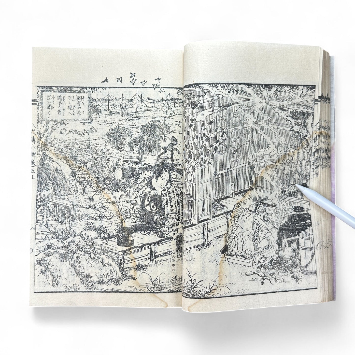 Nansō Satomi Hakkenden 南總里見八犬傳 Vol.12 — Meiji-Era Illustrated Japanese Novel (Kyokutei Bakin 曲亭馬琴)-B55