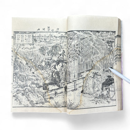 Nansō Satomi Hakkenden 南總里見八犬傳 Vol.12 — Meiji-Era Illustrated Japanese Novel (Kyokutei Bakin 曲亭馬琴)-B55