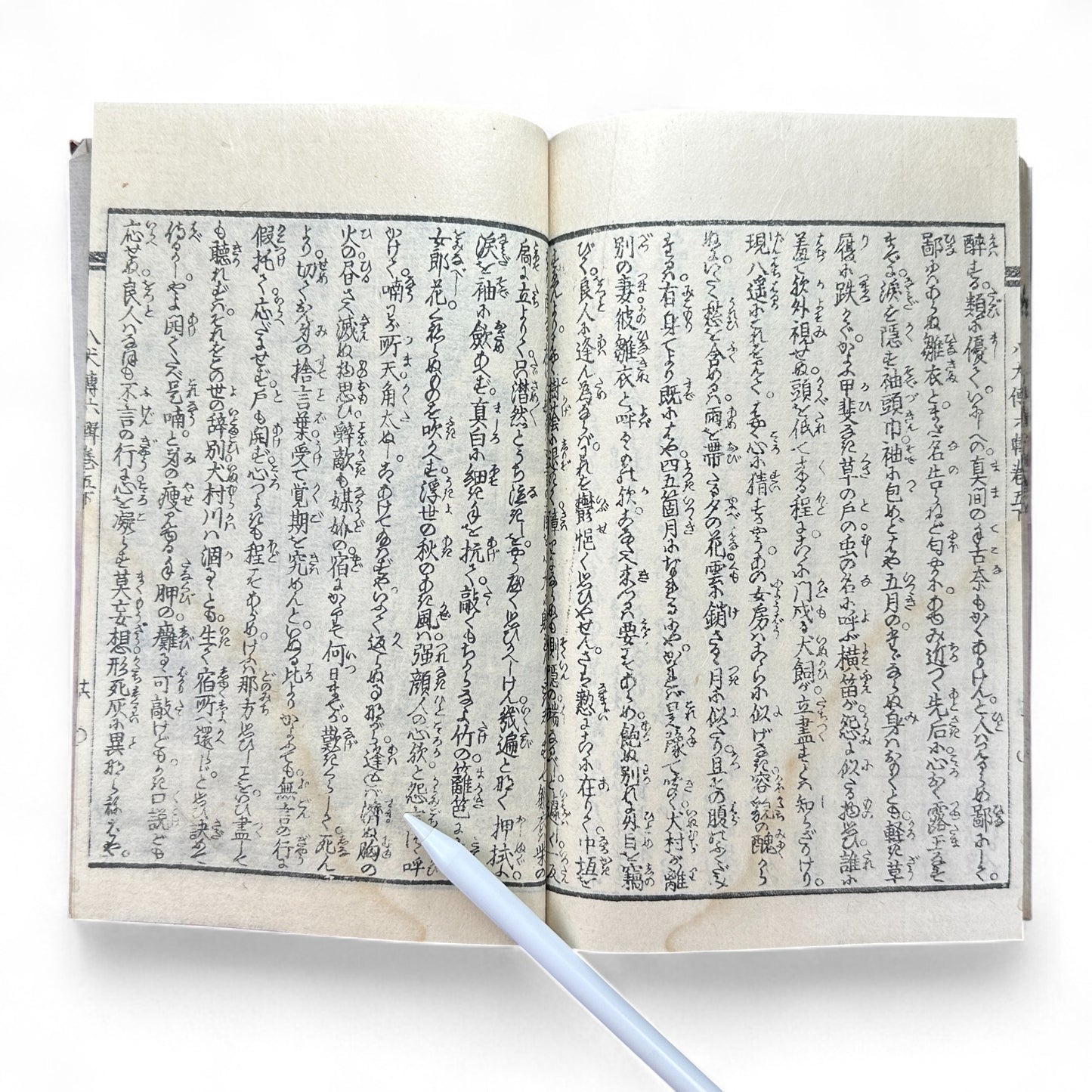 Nansō Satomi Hakkenden 南總里見八犬傳 Vol.12 — Meiji-Era Illustrated Japanese Novel (Kyokutei Bakin 曲亭馬琴)-B55