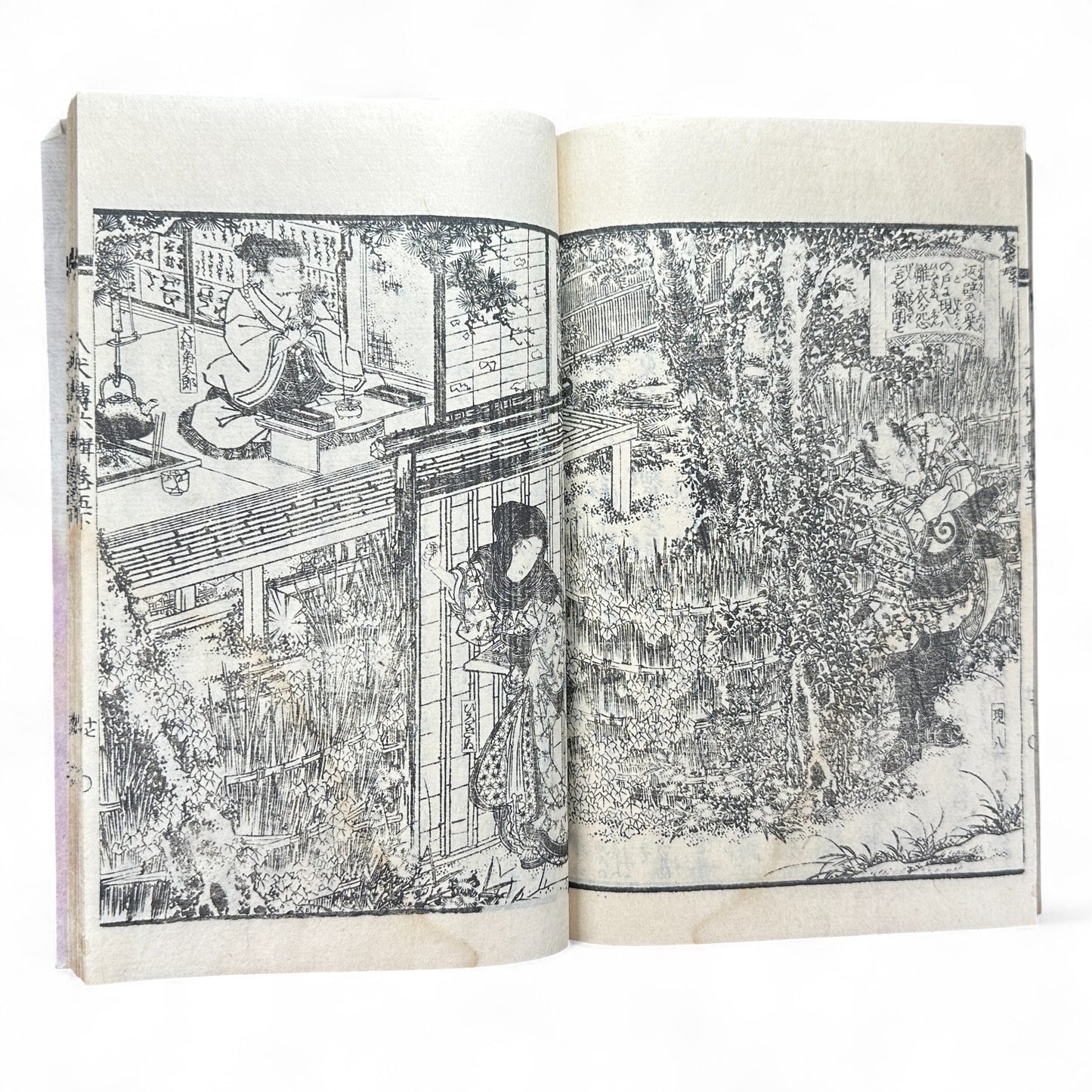 Nansō Satomi Hakkenden 南總里見八犬傳 Vol.12 — Meiji-Era Illustrated Japanese Novel (Kyokutei Bakin 曲亭馬琴)-B55