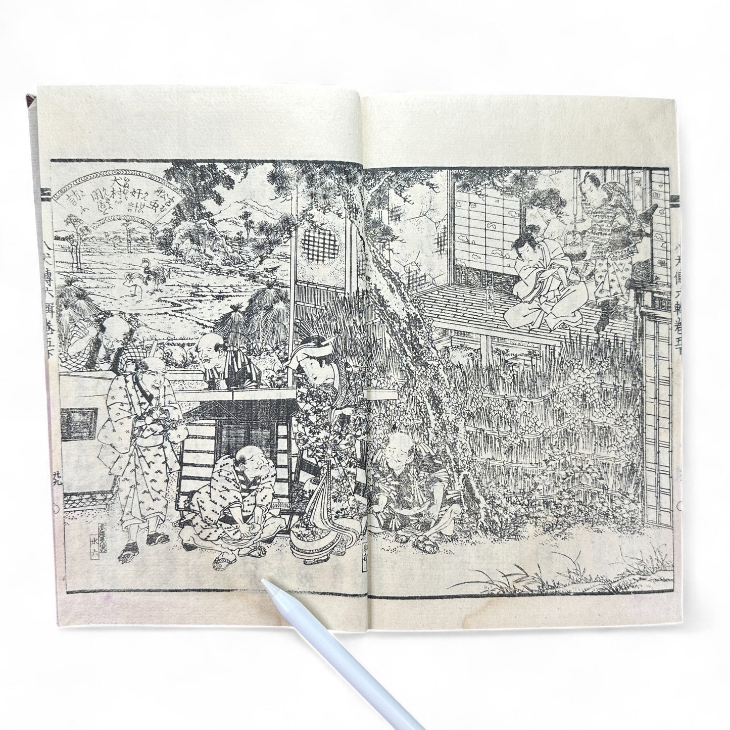 Nansō Satomi Hakkenden 南總里見八犬傳 Vol.12 — Meiji-Era Illustrated Japanese Novel (Kyokutei Bakin 曲亭馬琴)-B55