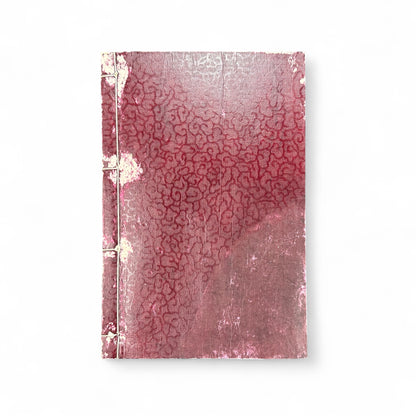 Nansō Satomi Hakkenden 南總里見八犬傳 Vol.12 — Meiji-Era Illustrated Japanese Novel (Kyokutei Bakin 曲亭馬琴)-B55