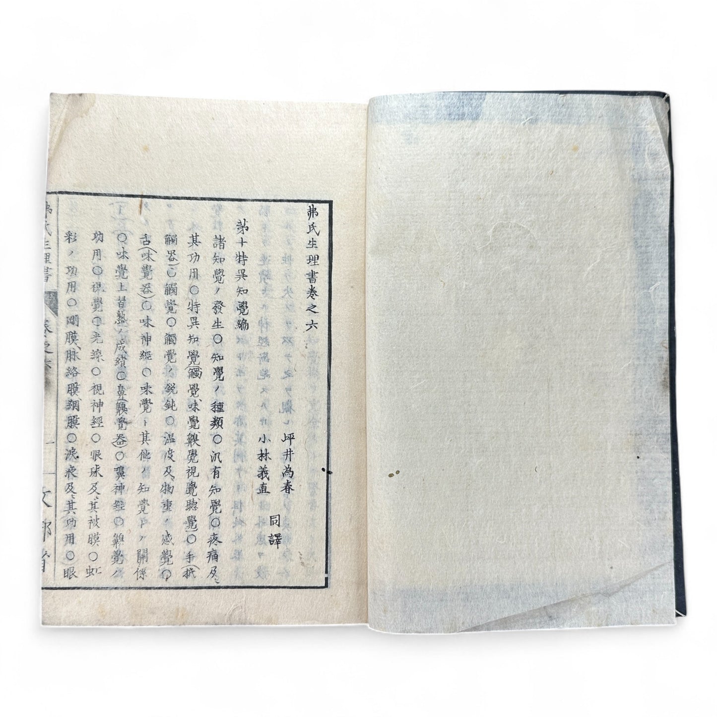 弗氏生理書表 第六巻 – Meiji-Era Japanese Physiology Book – Human Anatomy Woodblock Illustrations-B57