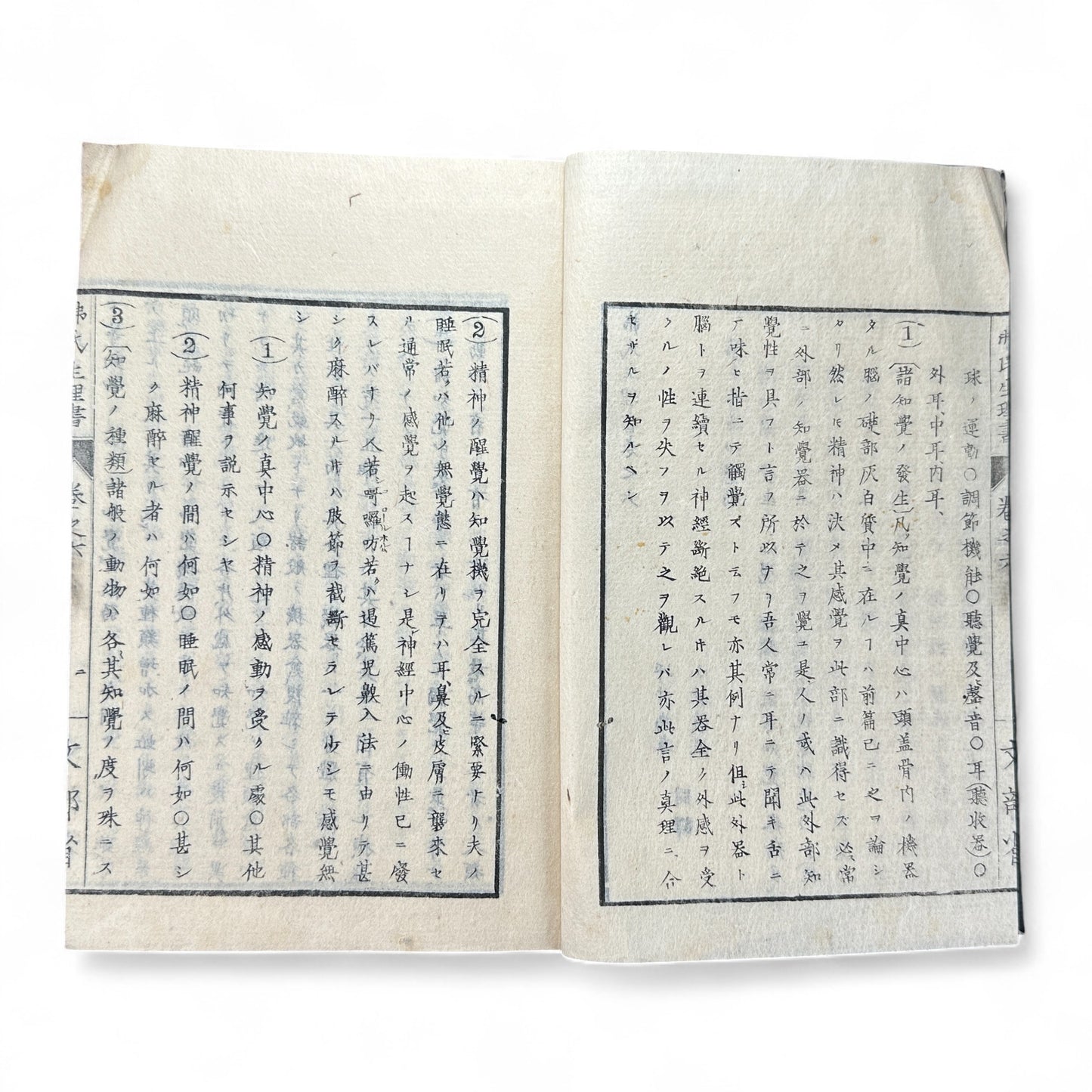 弗氏生理書表 第六巻 – Meiji-Era Japanese Physiology Book – Human Anatomy Woodblock Illustrations-B57