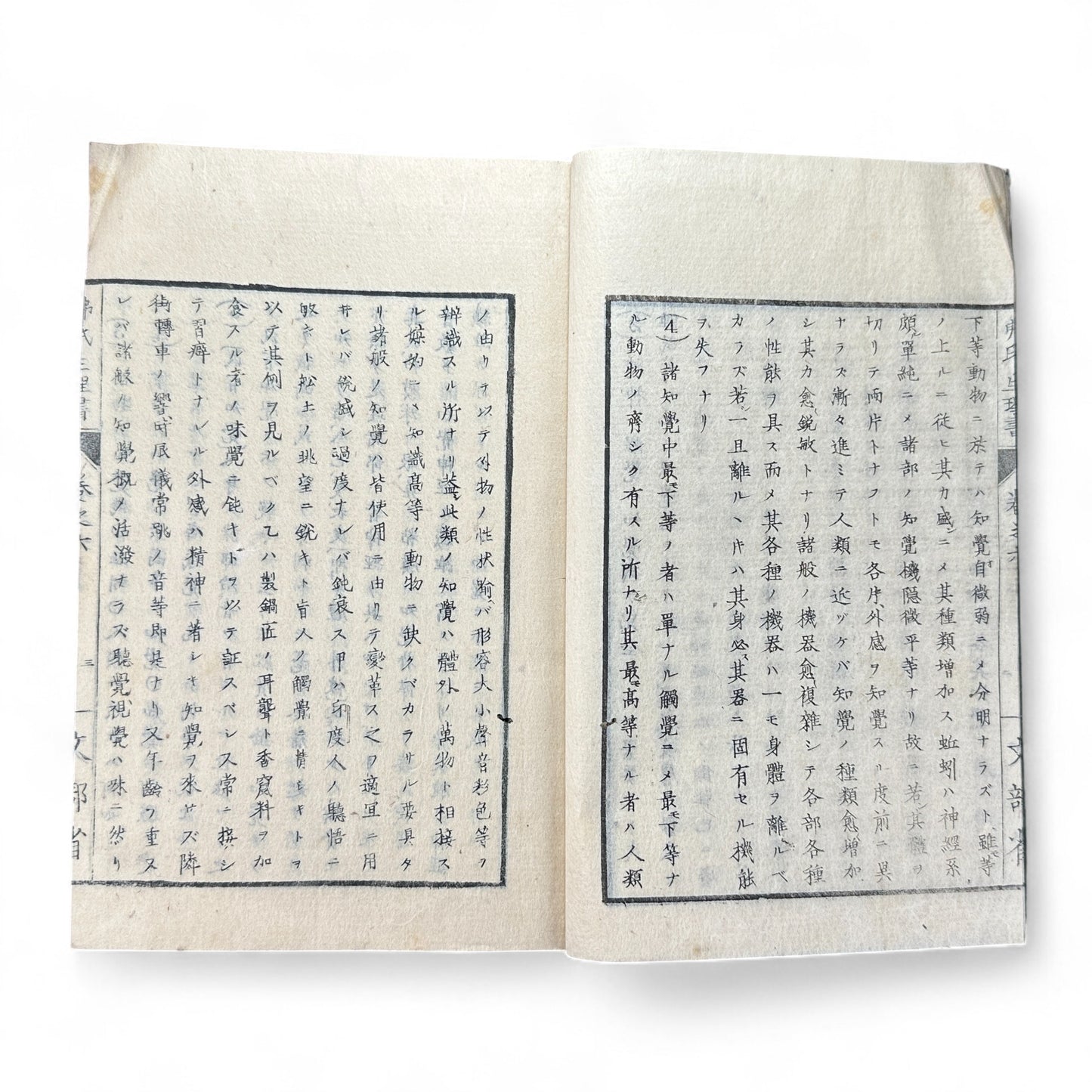 弗氏生理書表 第六巻 – Meiji-Era Japanese Physiology Book – Human Anatomy Woodblock Illustrations-B57