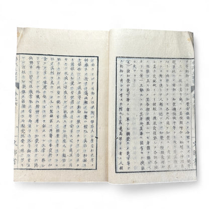 弗氏生理書表 第六巻 – Meiji-Era Japanese Physiology Book – Human Anatomy Woodblock Illustrations-B57