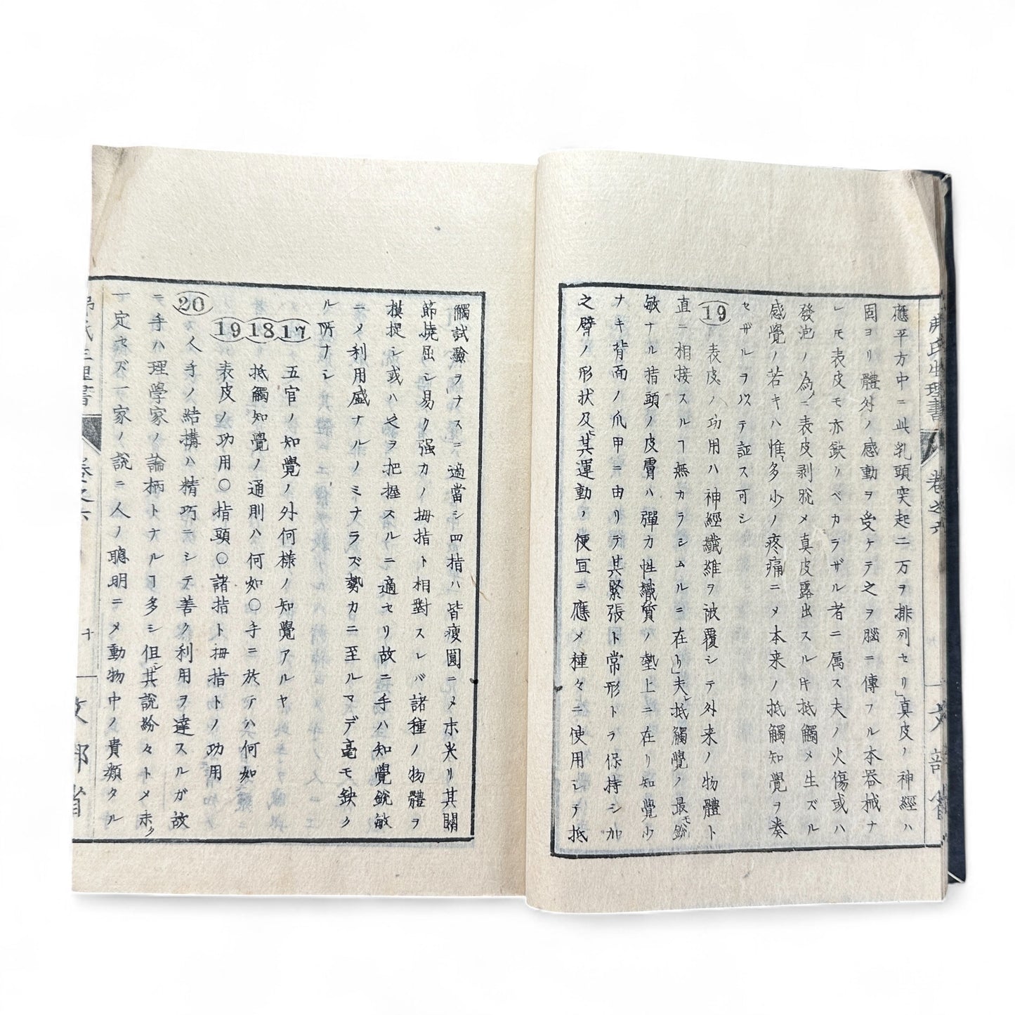 弗氏生理書表 第六巻 – Meiji-Era Japanese Physiology Book – Human Anatomy Woodblock Illustrations-B57