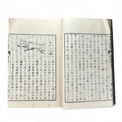 弗氏生理書表 第六巻 – Meiji-Era Japanese Physiology Book – Human Anatomy Woodblock Illustrations-B57