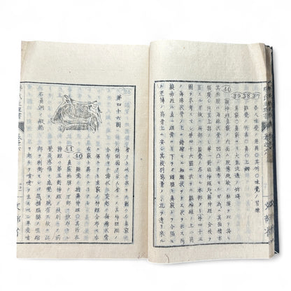 弗氏生理書表 第六巻 – Meiji-Era Japanese Physiology Book – Human Anatomy Woodblock Illustrations-B57