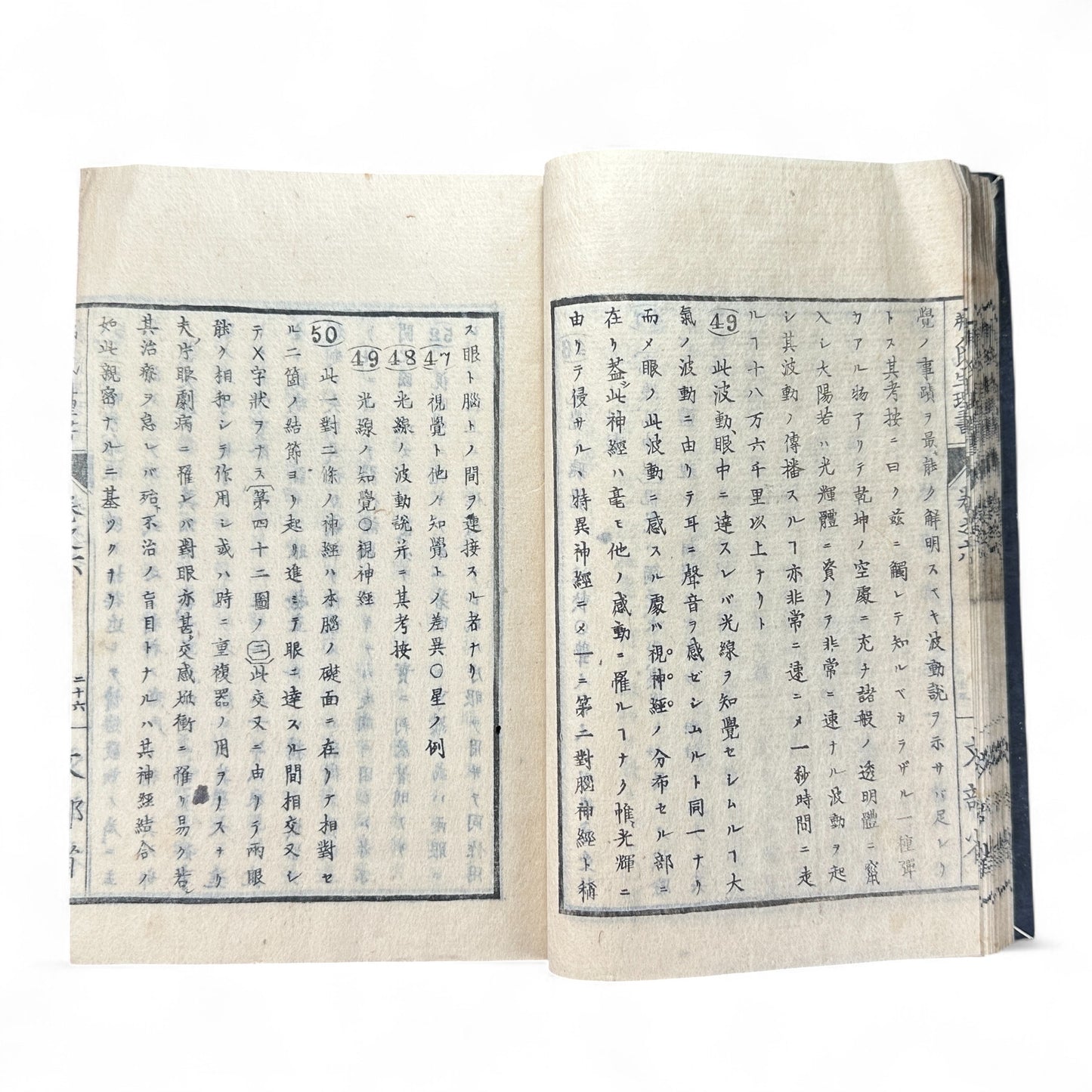 弗氏生理書表 第六巻 – Meiji-Era Japanese Physiology Book – Human Anatomy Woodblock Illustrations-B57