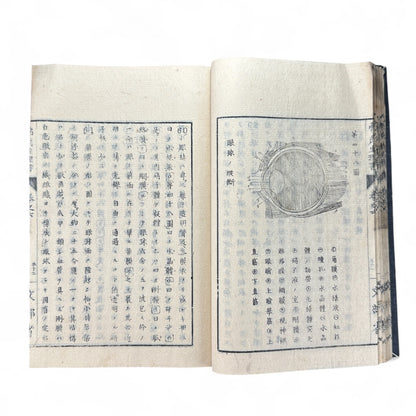弗氏生理書表 第六巻 – Meiji-Era Japanese Physiology Book – Human Anatomy Woodblock Illustrations-B57