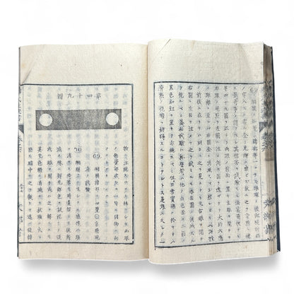 弗氏生理書表 第六巻 – Meiji-Era Japanese Physiology Book – Human Anatomy Woodblock Illustrations-B57