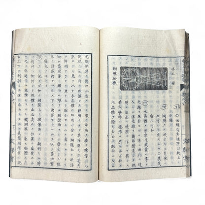 弗氏生理書表 第六巻 – Meiji-Era Japanese Physiology Book – Human Anatomy Woodblock Illustrations-B57