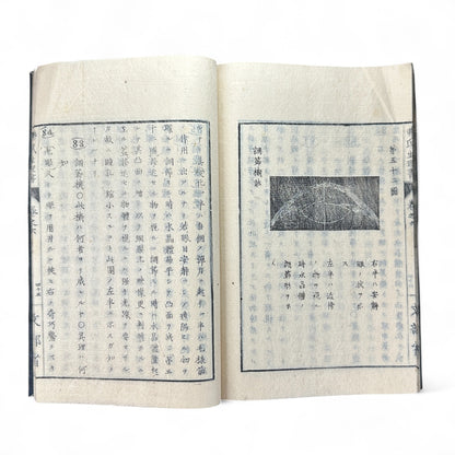 弗氏生理書表 第六巻 – Meiji-Era Japanese Physiology Book – Human Anatomy Woodblock Illustrations-B57