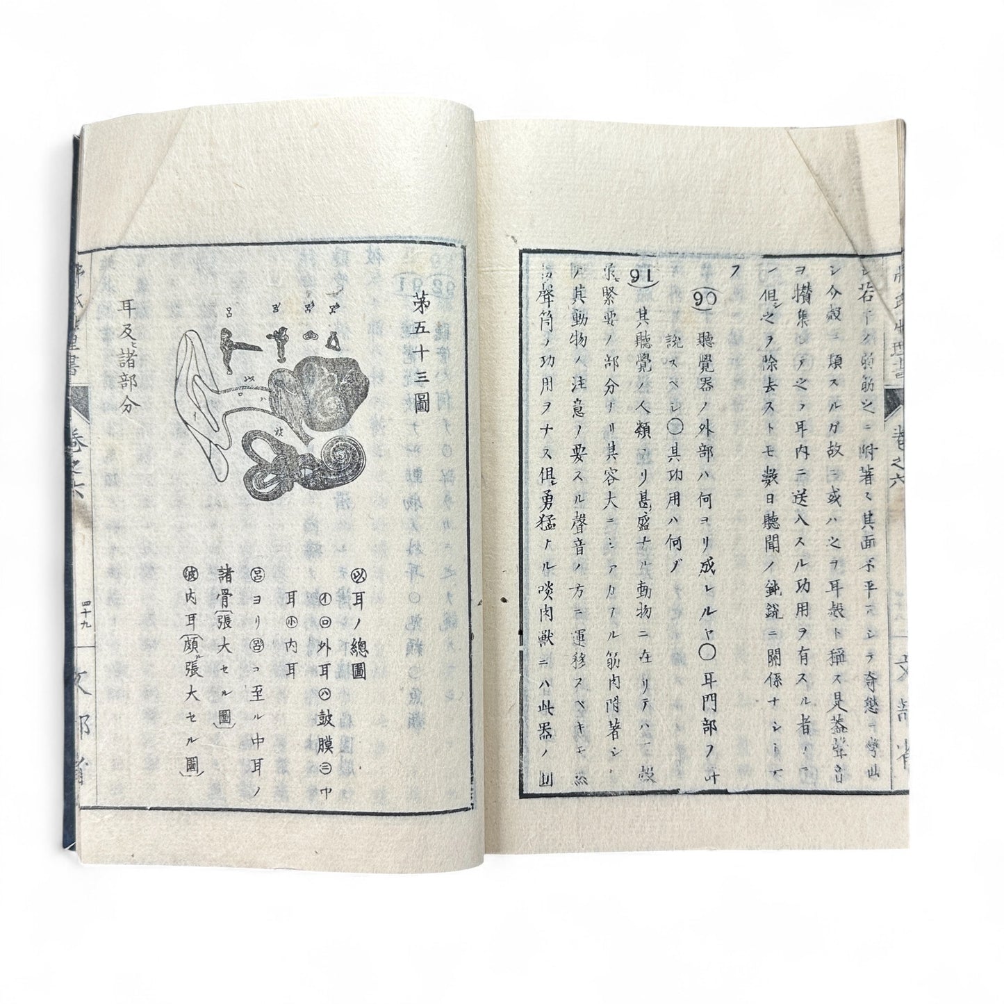 弗氏生理書表 第六巻 – Meiji-Era Japanese Physiology Book – Human Anatomy Woodblock Illustrations-B57