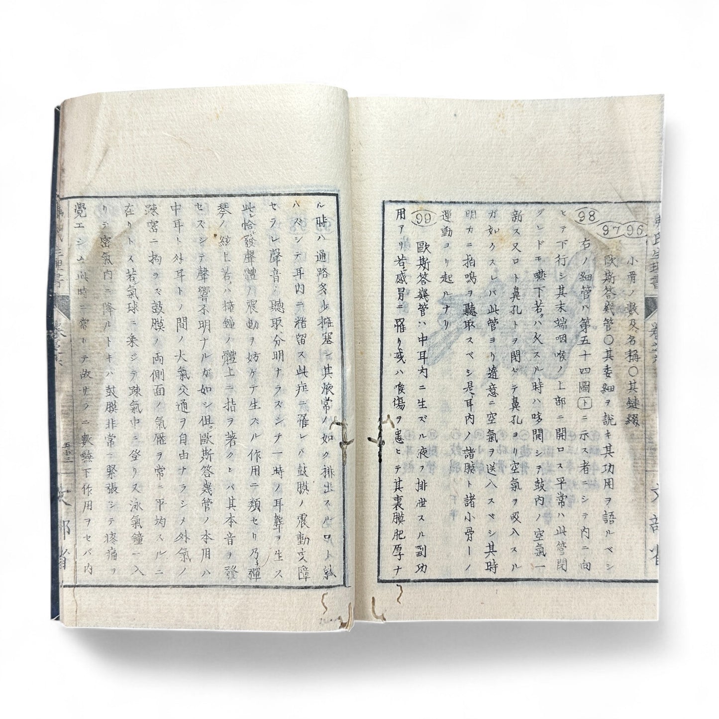 弗氏生理書表 第六巻 – Meiji-Era Japanese Physiology Book – Human Anatomy Woodblock Illustrations-B57