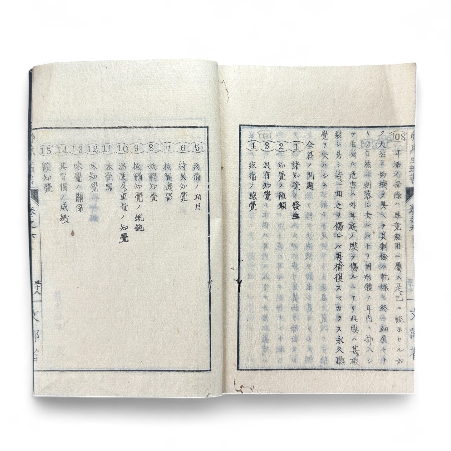 弗氏生理書表 第六巻 – Meiji-Era Japanese Physiology Book – Human Anatomy Woodblock Illustrations-B57