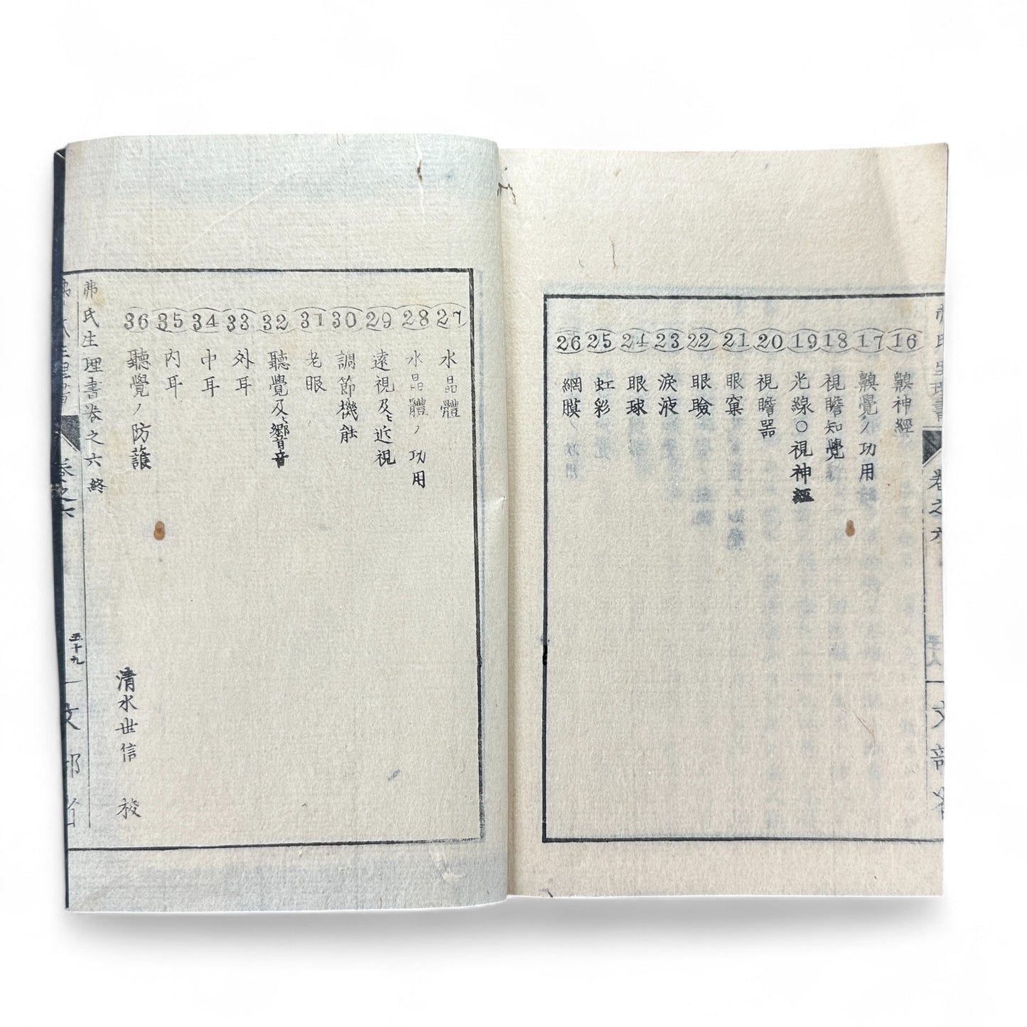 弗氏生理書表 第六巻 – Meiji-Era Japanese Physiology Book – Human Anatomy Woodblock Illustrations-B57