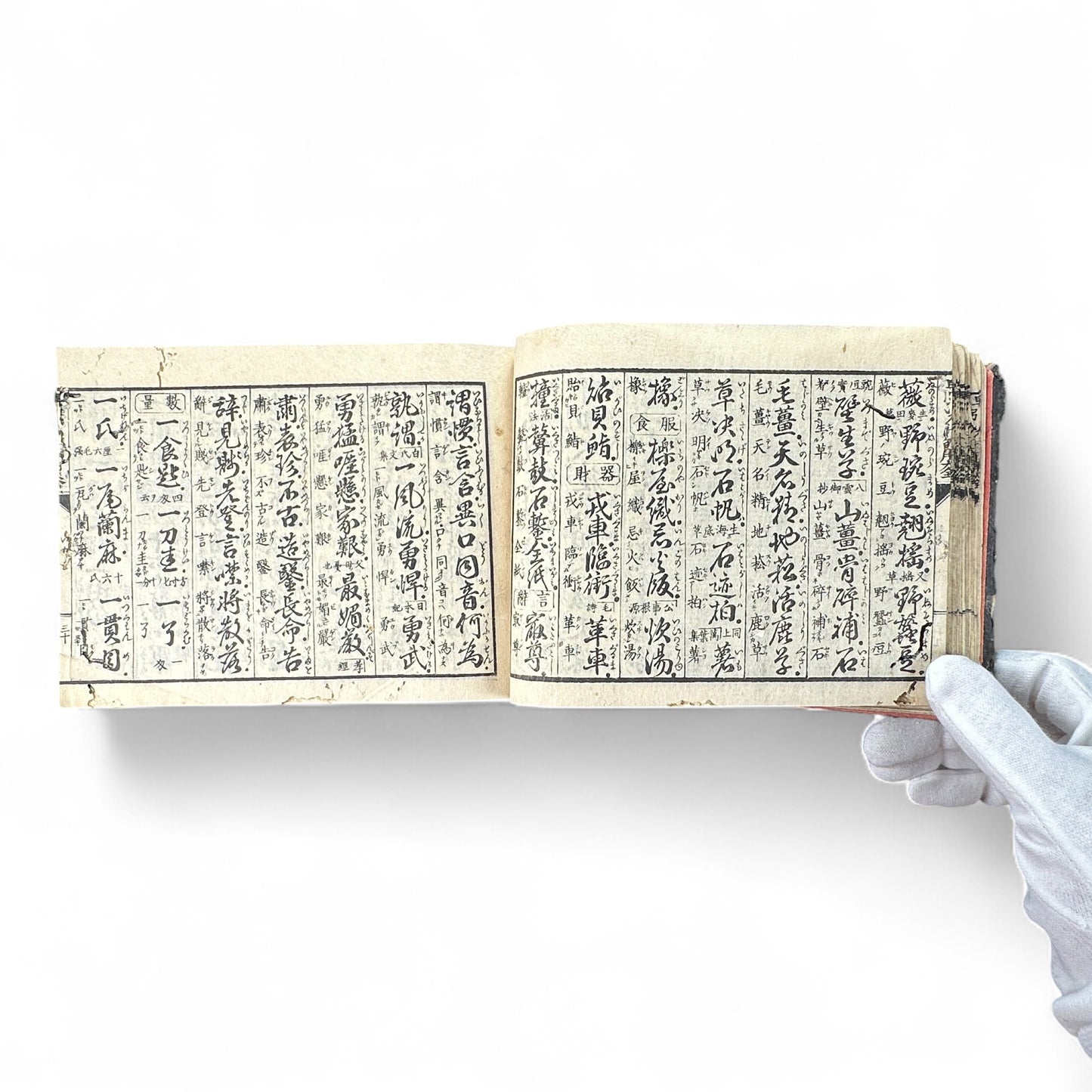 Meiji 1893 “Kanbun Dictionary” by Asano Yasuhiko 朝野泰彦 – Red Ink Edition Published by Bunkaidō & Sanshōdō – Tokyo Meiji Period Japanese-Chinese Reference Book-B71