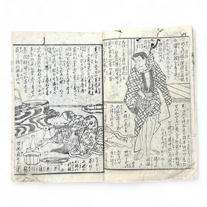 Hanaregiku Kyokkyō (離れ菊 掬鏡) – Complete 3-Volume Meiji Illustrated Novel by Bunkyōdō Shujin & Kaga Yoshisama (1882 Japan)-B80