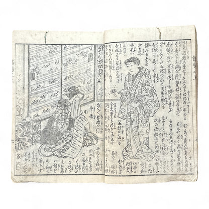 Hanaregiku Kyokkyō (離れ菊 掬鏡) – Complete 3-Volume Meiji Illustrated Novel by Bunkyōdō Shujin & Kaga Yoshisama (1882 Japan)-B80