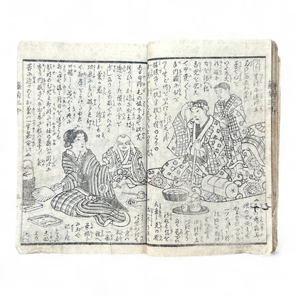 Hanaregiku Kyokkyō (離れ菊 掬鏡) – Complete 3-Volume Meiji Illustrated Novel by Bunkyōdō Shujin & Kaga Yoshisama (1882 Japan)-B80