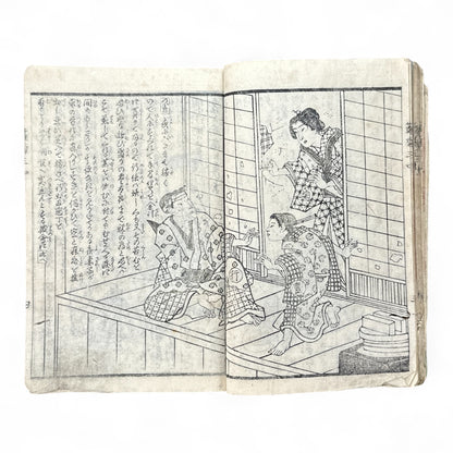 Hanaregiku Kyokkyō (離れ菊 掬鏡) – Complete 3-Volume Meiji Illustrated Novel by Bunkyōdō Shujin & Kaga Yoshisama (1882 Japan)-B80