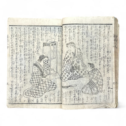 Hanaregiku Kyokkyō (離れ菊 掬鏡) – Complete 3-Volume Meiji Illustrated Novel by Bunkyōdō Shujin & Kaga Yoshisama (1882 Japan)-B80