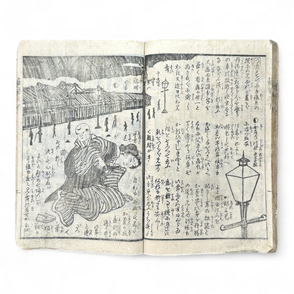 Hanaregiku Kyokkyō (離れ菊 掬鏡) – Complete 3-Volume Meiji Illustrated Novel by Bunkyōdō Shujin & Kaga Yoshisama (1882 Japan)-B80