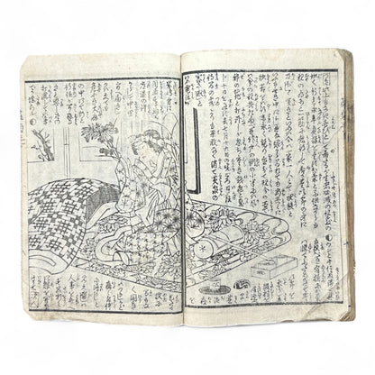 Hanaregiku Kyokkyō (離れ菊 掬鏡) – Complete 3-Volume Meiji Illustrated Novel by Bunkyōdō Shujin & Kaga Yoshisama (1882 Japan)-B80