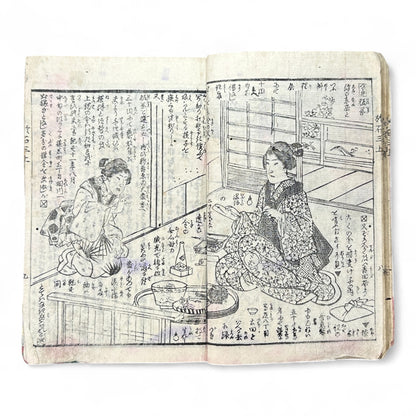 Kurahashi Tōji Ritsuhō-zuru (倉橋冬児立圃鶴) – Complete 3-Volume Meiji Woodblock-Printed Novel by Kurahashi Tōji & Seirentei Bunjū (1882 Japan)-B82