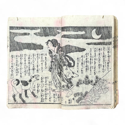 Kurahashi Tōji Ritsuhō-zuru (倉橋冬児立圃鶴) – Complete 3-Volume Meiji Woodblock-Printed Novel by Kurahashi Tōji & Seirentei Bunjū (1882 Japan)-B82