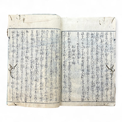 Iga-goe Dōchū Sugoroku 伊賀越道中双六 – Edo Samurai Revenge Tale – Illustrated Japanese Woodblock Book-B86