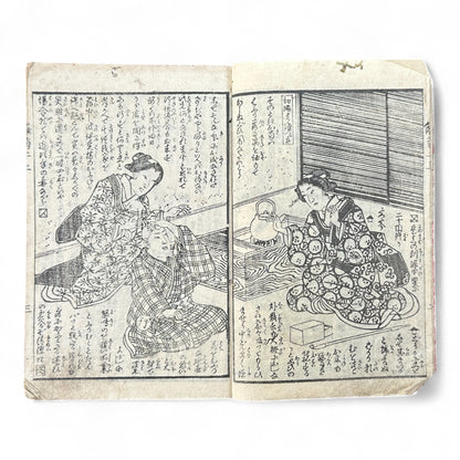 Hi no Kiku Shirube Kagami 簸の菊標鏡 – Edo Period Color Illustrated Woodblock Book (3 Volumes in One)-B92