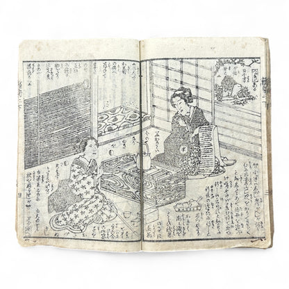 Hi no Kiku Shirube Kagami 簸の菊標鏡 – Edo Period Color Illustrated Woodblock Book (3 Volumes in One)-B92