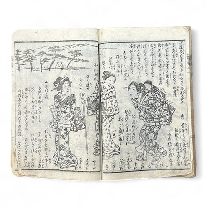 Hi no Kiku Shirube Kagami 簸の菊標鏡 – Edo Period Color Illustrated Woodblock Book (3 Volumes in One)-B92