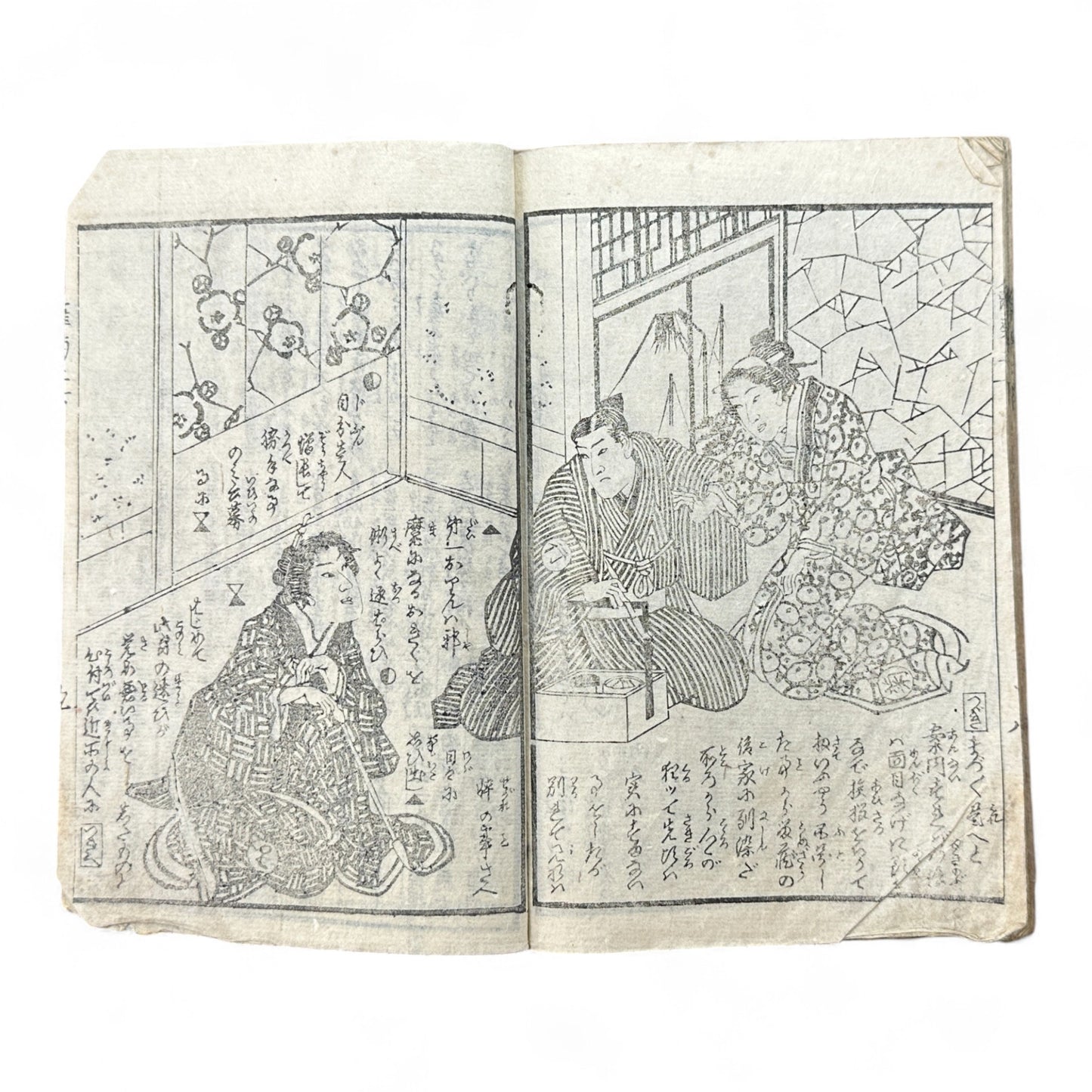 Hi no Kiku Shirube Kagami 簸の菊標鏡 – Edo Period Color Illustrated Woodblock Book (3 Volumes in One)-B92