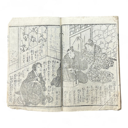 Hi no Kiku Shirube Kagami 簸の菊標鏡 – Edo Period Color Illustrated Woodblock Book (3 Volumes in One)-B92