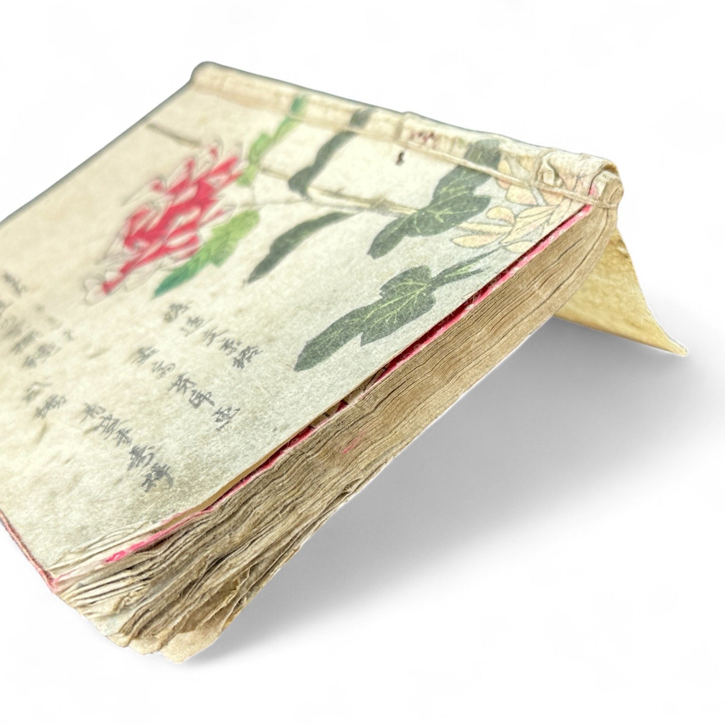 Hi no Kiku Shirube Kagami 簸の菊標鏡 – Edo Period Color Illustrated Woodblock Book (3 Volumes in One)-B92