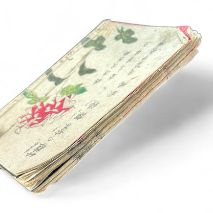 Hi no Kiku Shirube Kagami 簸の菊標鏡 – Edo Period Color Illustrated Woodblock Book (3 Volumes in One)-B92